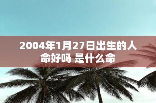 2004年1月27日出生的人命好吗 是什么命