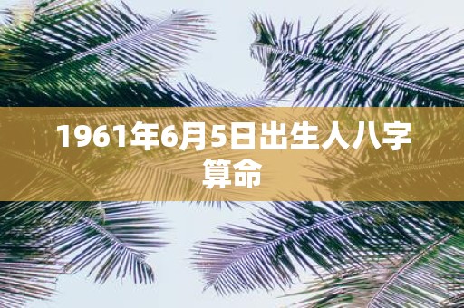1961年6月5日出生人八字算命