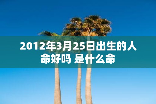 2012年3月25日出生的人命好吗 是什么命