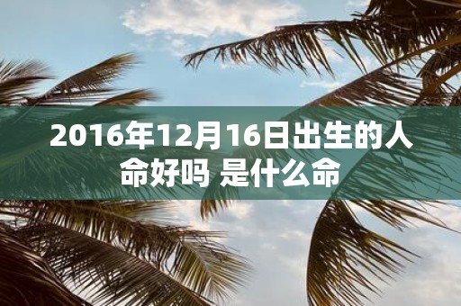 2016年12月16日出生的人命好吗 是什么命