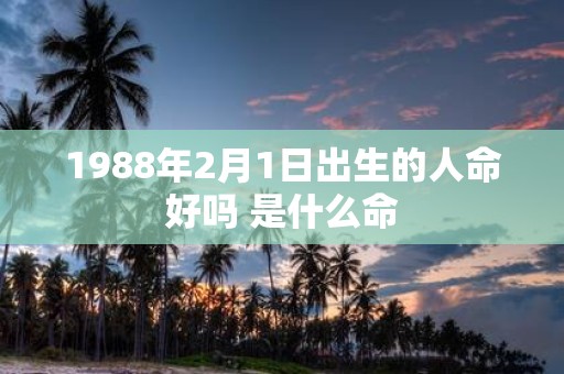 1988年2月1日出生的人命好吗 是什么命