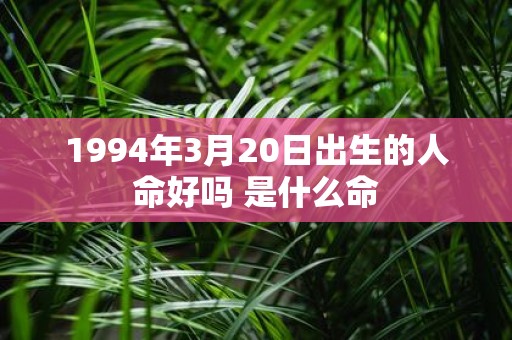 1994年3月20日出生的人命好吗 是什么命