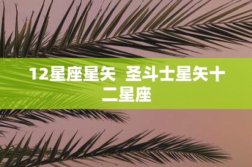 12星座星矢 圣斗士星矢十二星座
