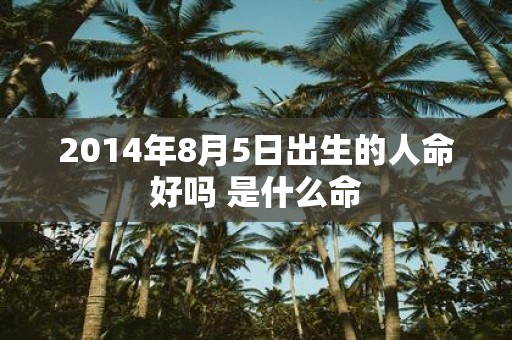 2014年8月5日出生的人命好吗 是什么命