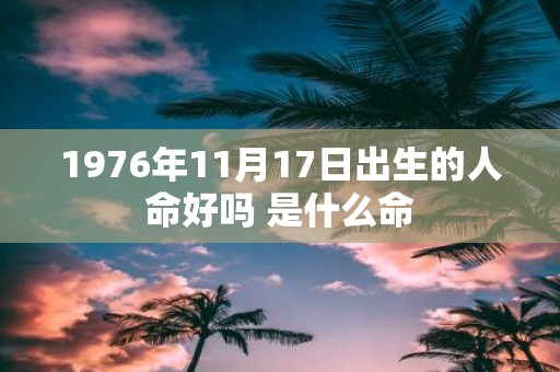 1976年11月17日出生的人命好吗 是什么命