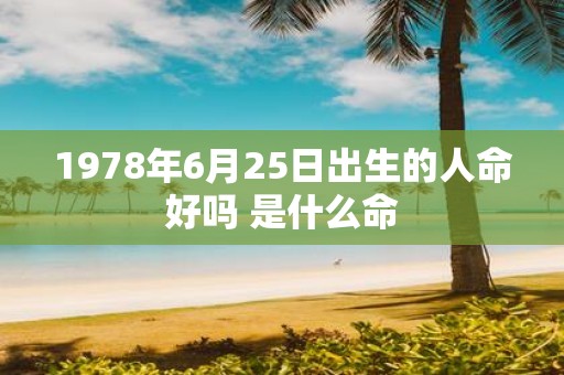 1978年6月25日出生的人命好吗 是什么命