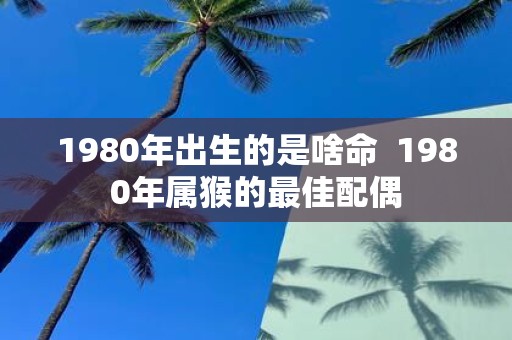 1980年出生的是啥命 1980年属猴的最佳配偶