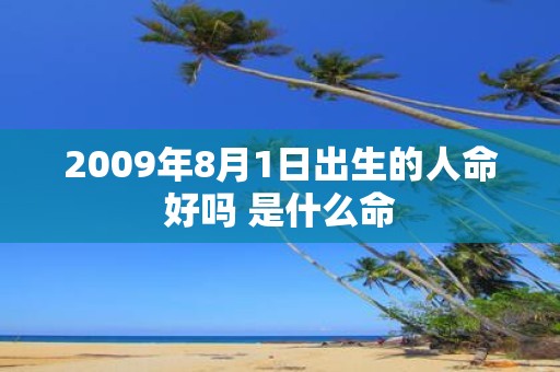 2009年8月1日出生的人命好吗 是什么命