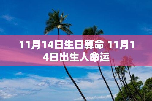 11月14日生日算命 11月14日出生人命运