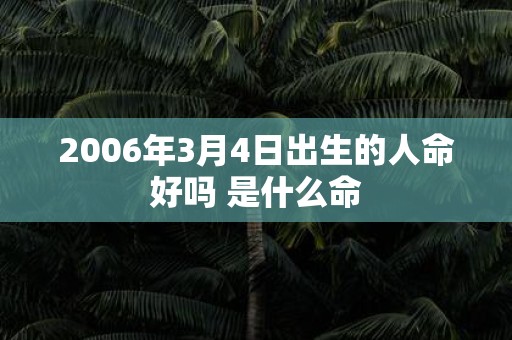 2006年3月4日出生的人命好吗 是什么命