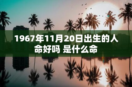 1967年11月20日出生的人命好吗 是什么命