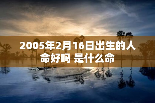 2005年2月16日出生的人命好吗 是什么命