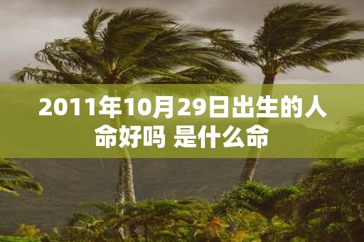 2011年10月29日出生的人命好吗 是什么命