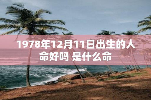 1978年12月11日出生的人命好吗 是什么命
