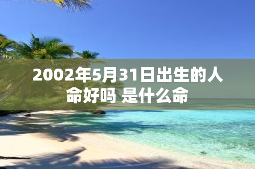 2002年5月31日出生的人命好吗 是什么命