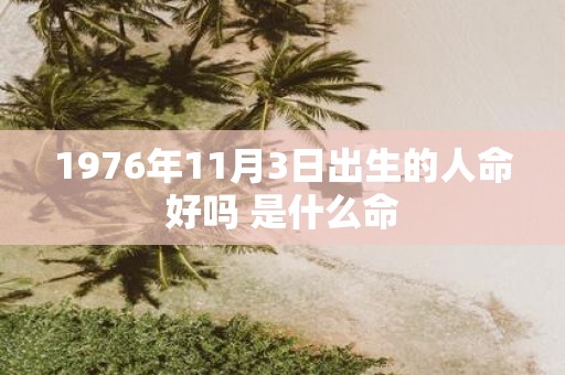 1976年11月3日出生的人命好吗 是什么命