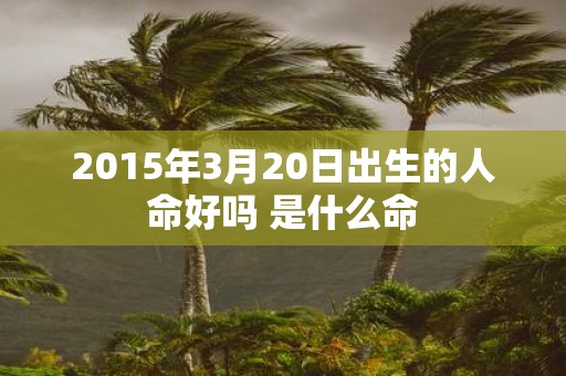 2015年3月20日出生的人命好吗 是什么命