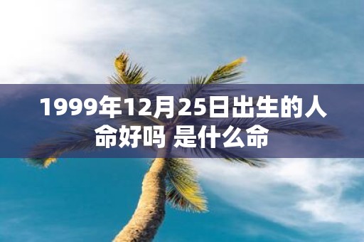 1999年12月25日出生的人命好吗 是什么命