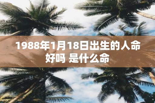 1988年1月18日出生的人命好吗 是什么命