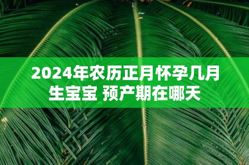 2025年农历正月怀孕几月生宝宝 预产期在哪天