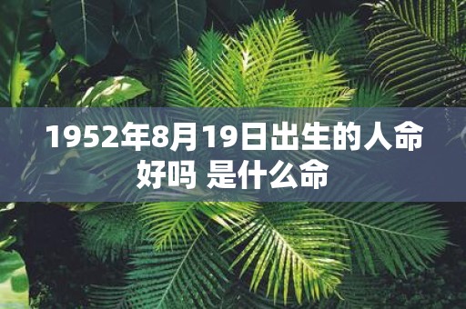1952年8月19日出生的人命好吗 是什么命