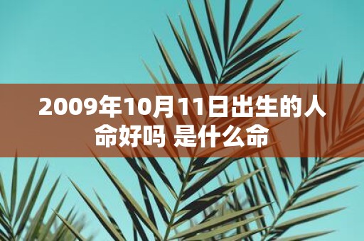 2009年10月11日出生的人命好吗 是什么命