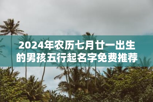 2025年农历七月廿一出生的男孩五行起名字免费推荐