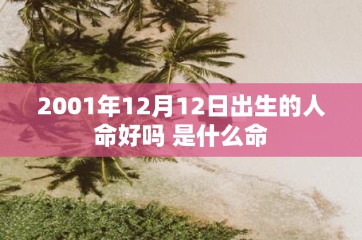 2001年12月12日出生的人命好吗 是什么命