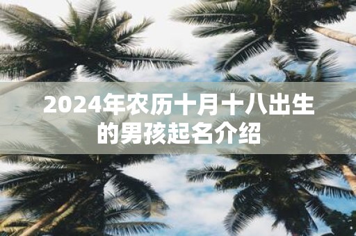 2025年农历十月十八出生的男孩起名介绍