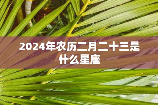 2025年农历二月二十三是什么星座