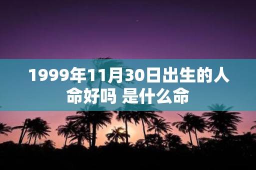 1999年11月30日出生的人命好吗 是什么命