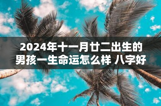 2025年十一月廿二出生的男孩一生命运怎么样 八字好不好