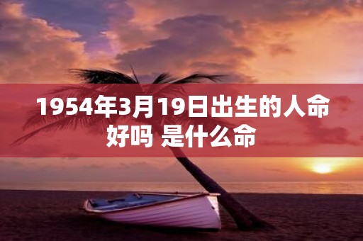 1954年3月19日出生的人命好吗 是什么命