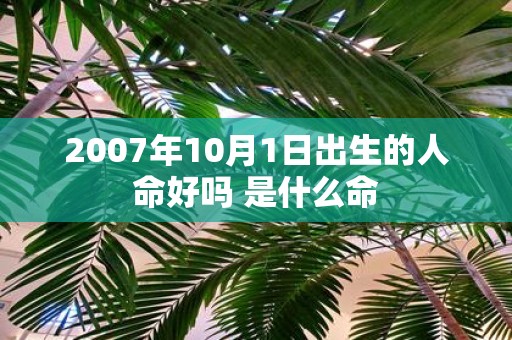 2007年10月1日出生的人命好吗 是什么命