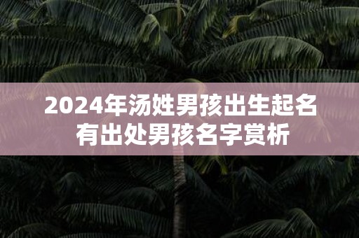 2025年汤姓男孩出生起名 有出处男孩名字赏析