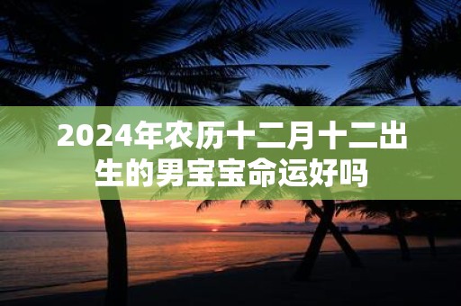 2025年农历十二月十二出生的男宝宝命运好吗