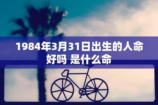 1984年3月31日出生的人命好吗 是什么命