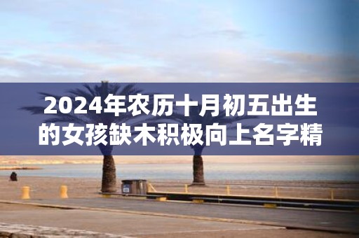 2025年农历十月初五出生的女孩缺木积极向上名字精选！