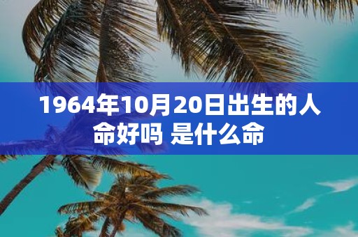 1964年10月20日出生的人命好吗 是什么命
