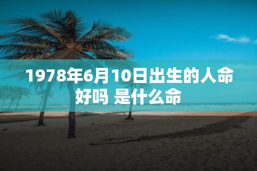 1978年6月10日出生的人命好吗 是什么命