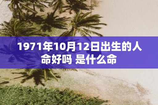 1971年10月12日出生的人命好吗 是什么命