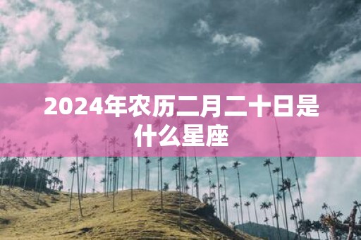 2025年农历二月二十日是什么星座
