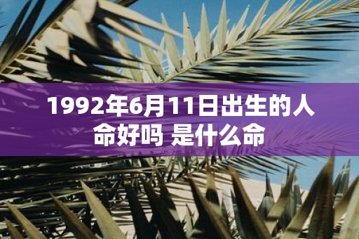 1992年6月11日出生的人命好吗 是什么命