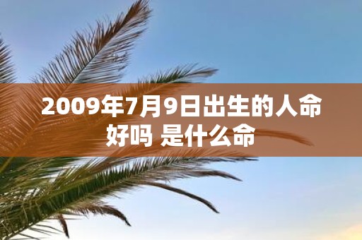 2009年7月9日出生的人命好吗 是什么命