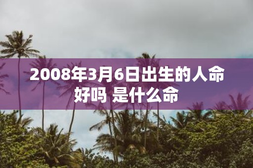 2008年3月6日出生的人命好吗 是什么命
