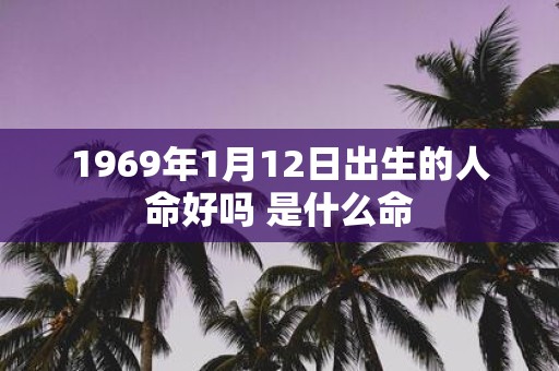 1969年1月12日出生的人命好吗 是什么命