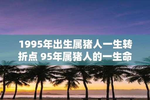 1995年出生属猪人一生转折点 95年属猪人的一生命运
