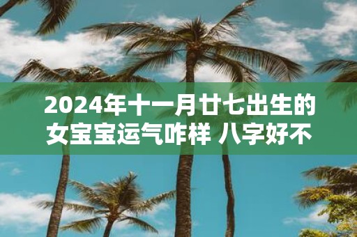 2025年十一月廿七出生的女宝宝运气咋样 八字好不好