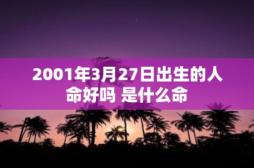 2001年3月27日出生的人命好吗 是什么命