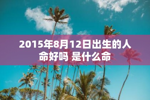 2015年8月12日出生的人命好吗 是什么命